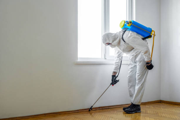 Best Pest Control for Hotels  in Crawfordsville, IN